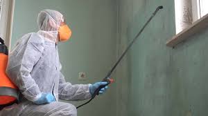 Best Black Mold Removal  in De Pue, IL